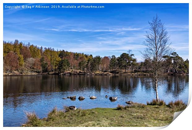 Tarn Hows Print by Reg K Atkinson