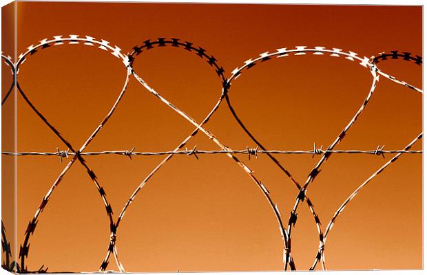 Dancing razor wire Canvas Print by John Black