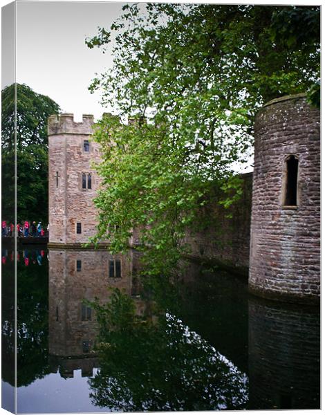 The Bishop's Palace Canvas Print by Steve Wood