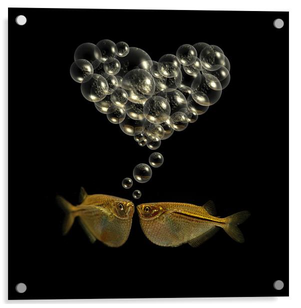 Fishy Love Acrylic by Abdul Kadir Audah