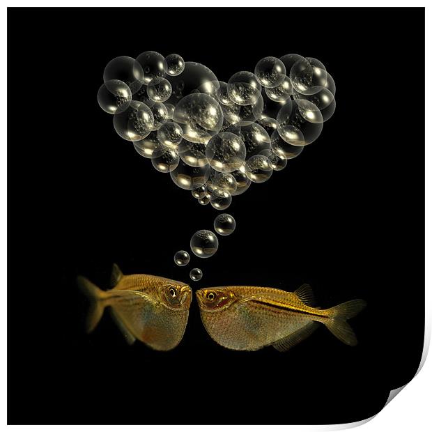Fishy Love Print by Abdul Kadir Audah