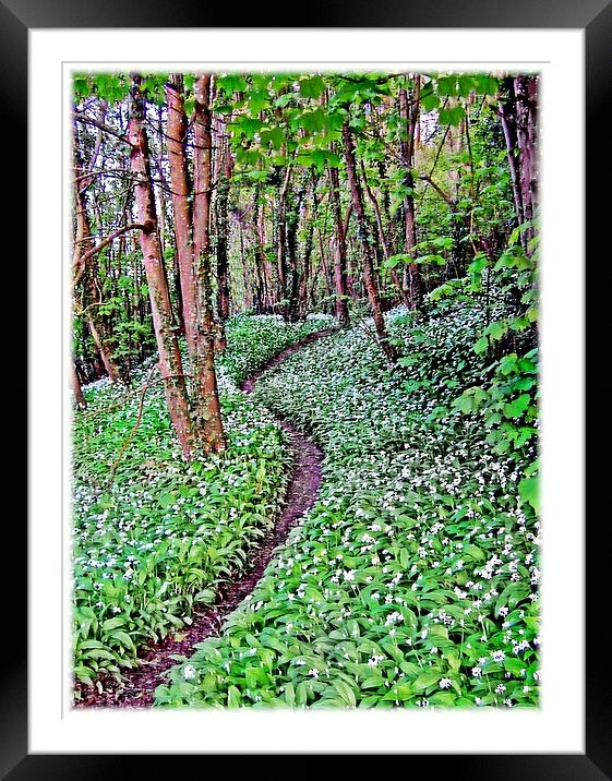 Wild Garlic.Lydstep. Framed Mounted Print by paulette hurley