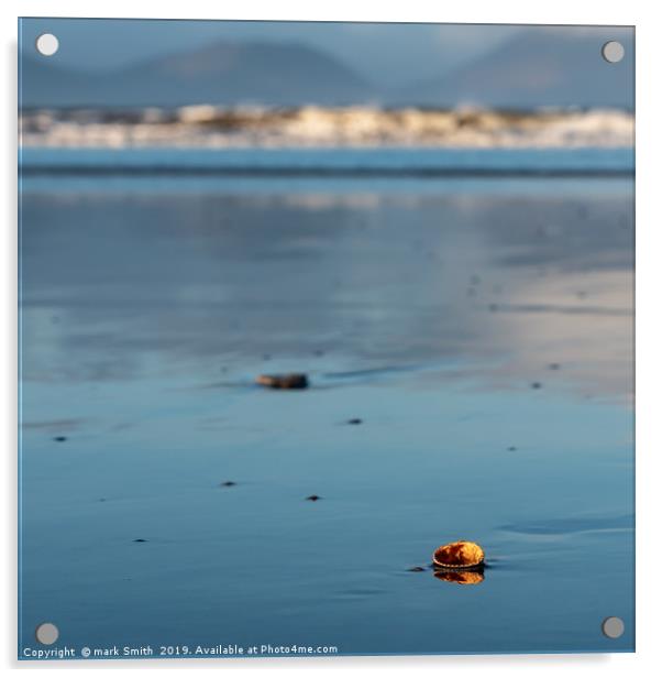 Sea Shell, Inch Beach Acrylic by mark Smith