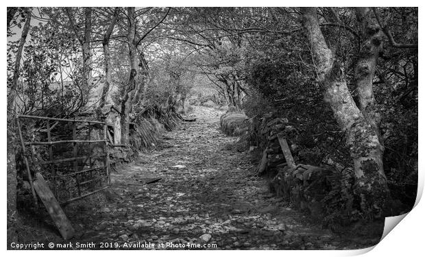 Farmland footpath in County Kerry Print by mark Smith