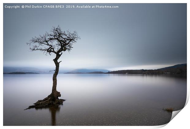 Lone Tree - Loch Lomond Print by Phil Durkin DPAGB BPE4