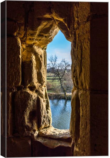 Castle Window Canvas Print by Mike Lanning