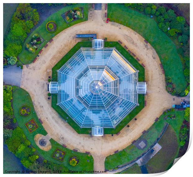 From Above The Palm House Print by Stratus Imagery