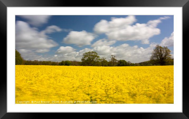 Oil Seed Rape field near to Dorchester Framed Mounted Print by Paul Brewer