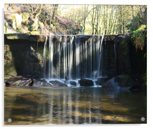 Waterfall at Knypersley in Staffordshire. Acrylic by Andrew Heaps