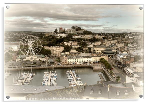 Looking down on Torquay Harbour and Town Acrylic by Rosie Spooner