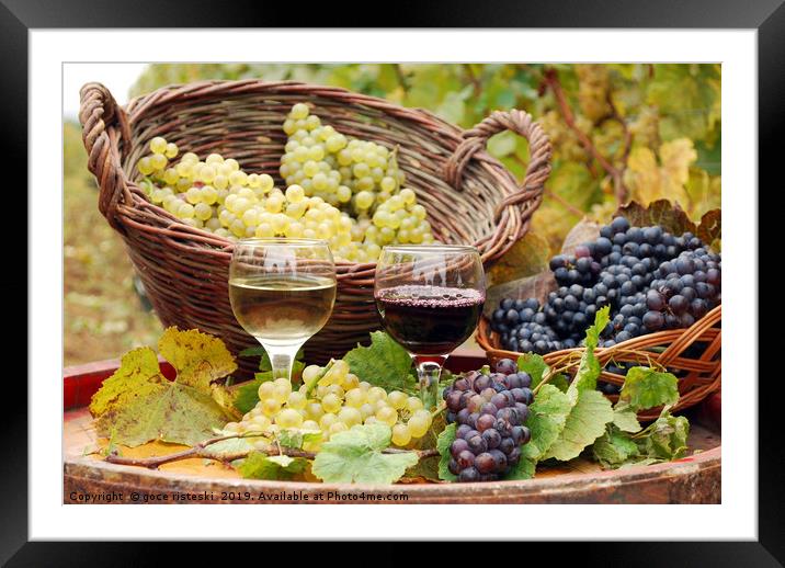 red and white wine with grape autumn season Framed Mounted Print by goce risteski