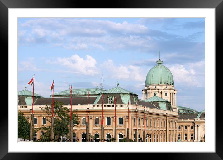 famous Budapest royal castle Hungary Framed Mounted Print by goce risteski