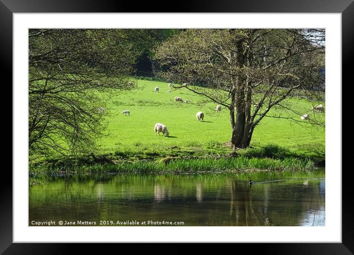 Life Beside A Canal Framed Mounted Print by Jane Metters