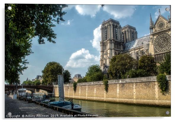 Notre Dame and the Seine Acrylic by Antony Atkinson