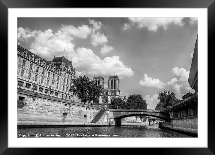 Notre dame in Black and White Framed Mounted Print by Antony Atkinson