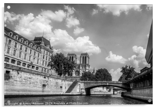 Notre dame in Black and White Acrylic by Antony Atkinson