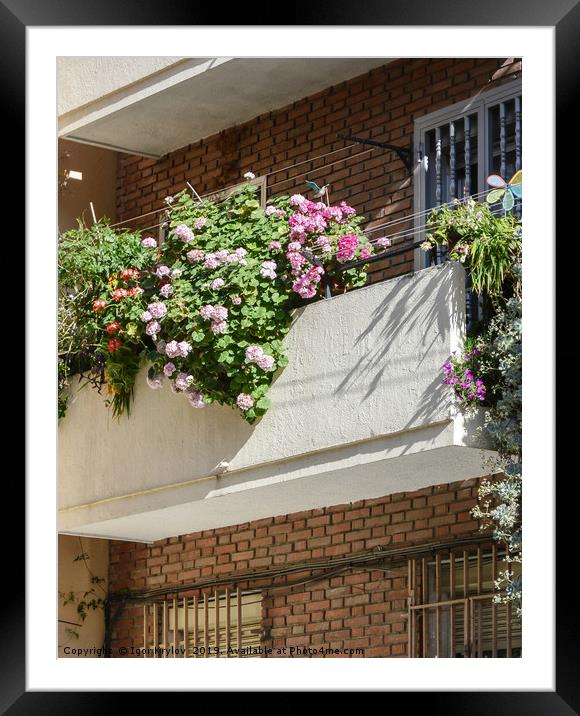 Balcony with flowers  in Madrid Framed Mounted Print by Igor Krylov