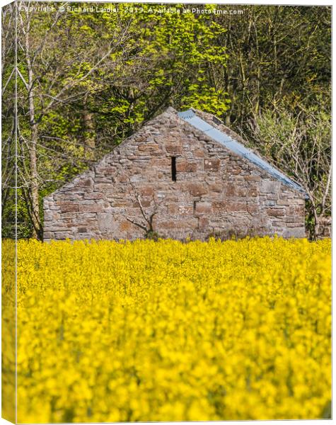 Old Barn and Flowering Rape Canvas Print by Richard Laidler