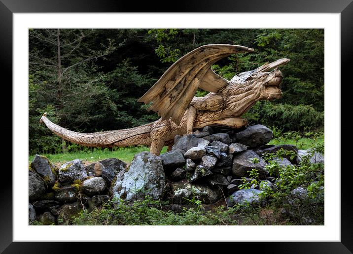 Y Ddraig Derw. (The Oak Dragon) Framed Mounted Print by Rory Trappe