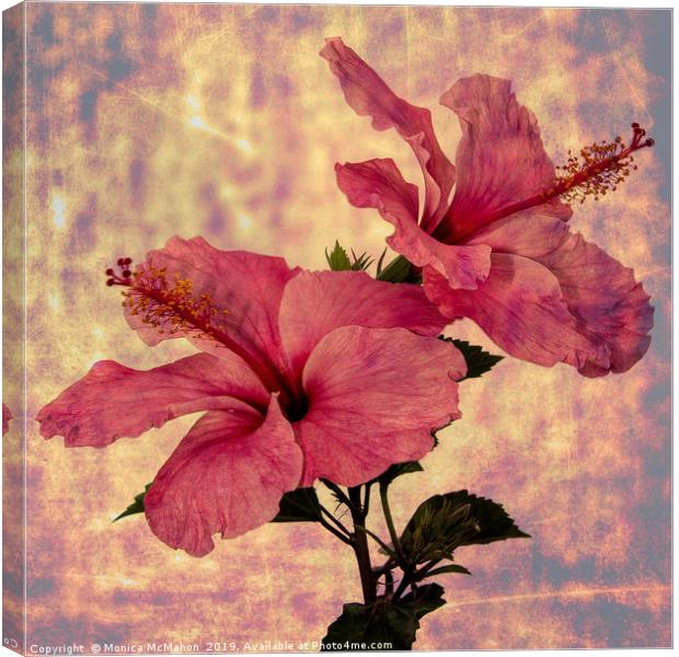 Hibiscus Flower Duo, Art form Canvas Print by Monica McMahon