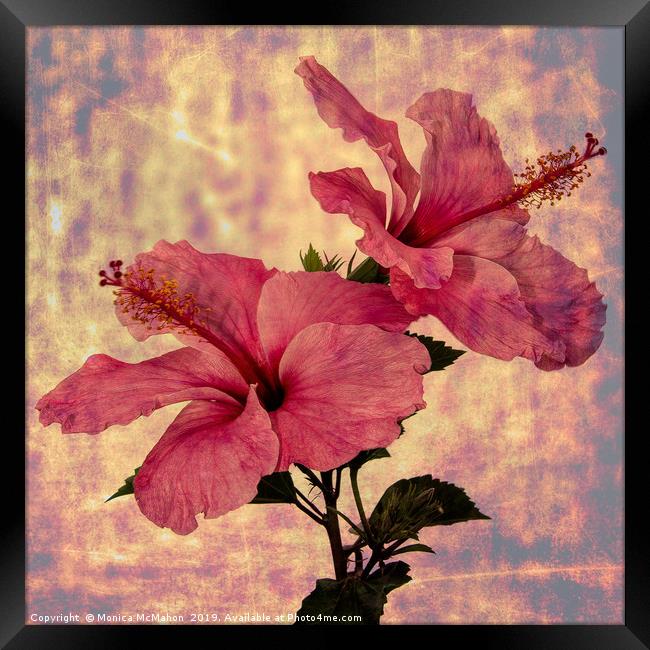 Hibiscus Flower Duo, Art form Framed Print by Monica McMahon