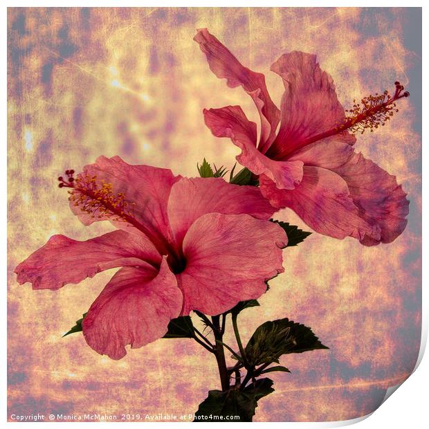 Hibiscus Flower Duo, Art form Print by Monica McMahon