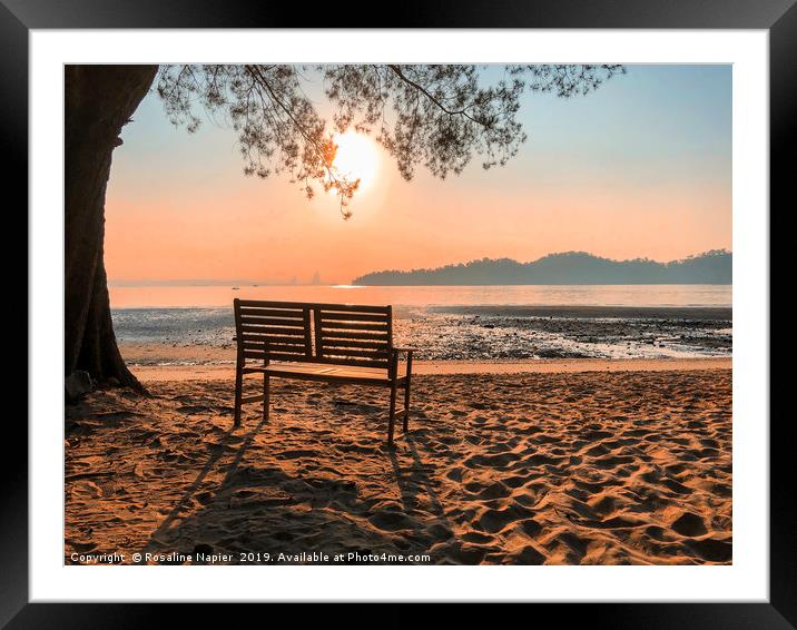 Tropical beach bench Framed Mounted Print by Rosaline Napier