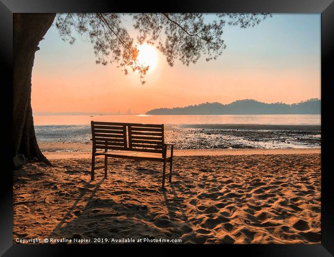 Tropical beach bench Framed Print by Rosaline Napier