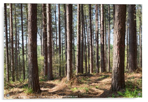 Blidworth Woods Acrylic by Peter Zabulis