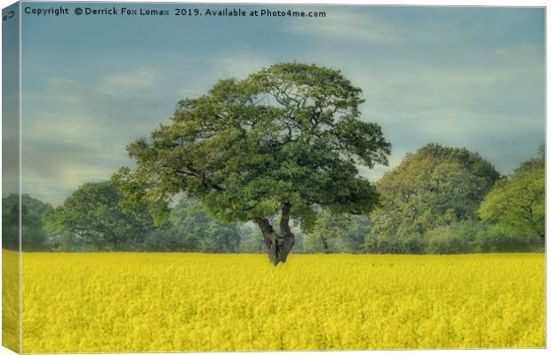 Llangollen countryside Canvas Print by Derrick Fox Lomax