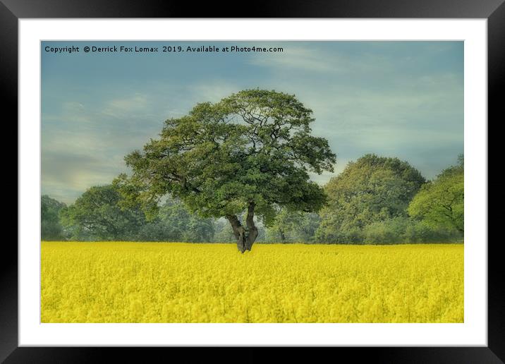 Llangollen countryside Framed Mounted Print by Derrick Fox Lomax