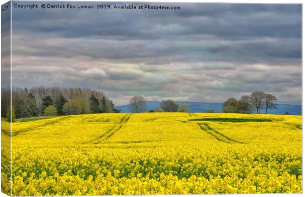 Lancashire countryside Canvas Print by Derrick Fox Lomax