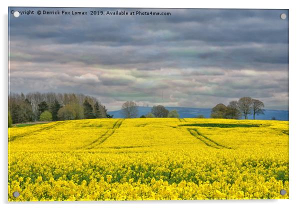Lancashire countryside Acrylic by Derrick Fox Lomax