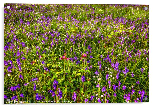 Woodland Flowers  Acrylic by Jim Key