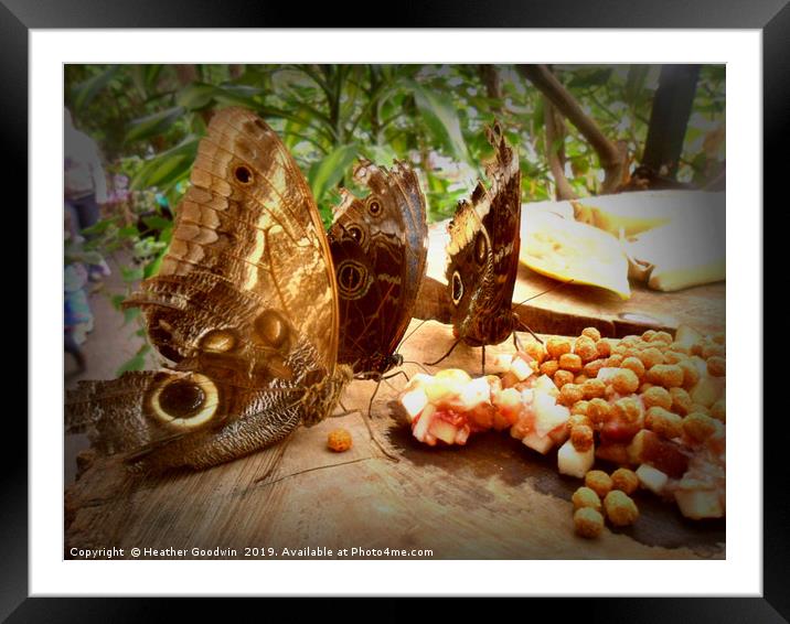Butterfly Picnic Framed Mounted Print by Heather Goodwin