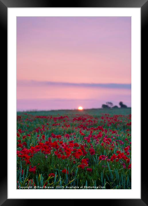 Sunrise over a sea of Red Framed Mounted Print by Paul Brewer