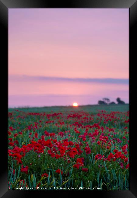 Sunrise over a sea of Red Framed Print by Paul Brewer