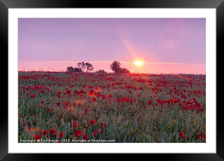 Sea of Red Framed Mounted Print by Paul Brewer