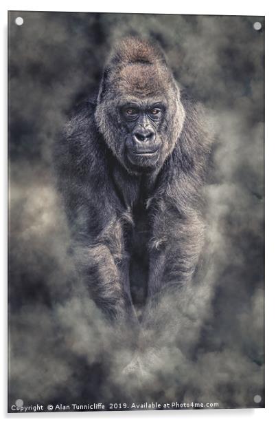 Silverback gorilla Acrylic by Alan Tunnicliffe