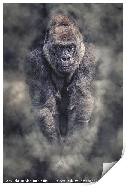 Silverback gorilla Print by Alan Tunnicliffe
