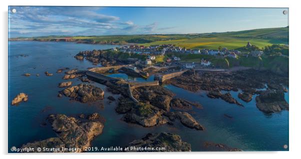 St Abbs Harbour Acrylic by Stratus Imagery