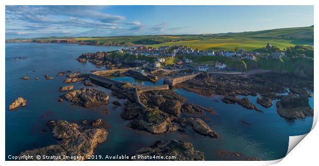 St Abbs Harbour Print by Stratus Imagery