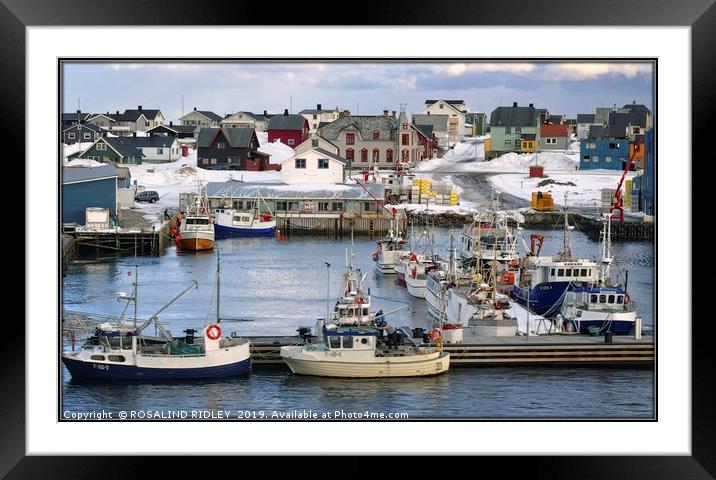 "Evening light reflections Vardo harbour" Framed Mounted Print by ROS RIDLEY