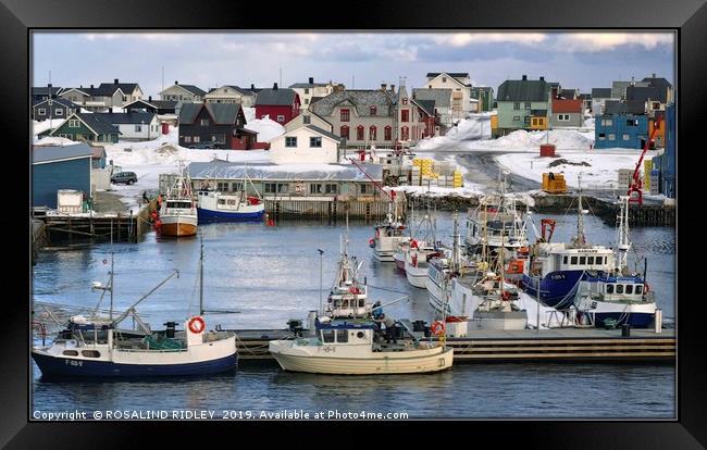 "Evening light reflections Vardo harbour" Framed Print by ROS RIDLEY