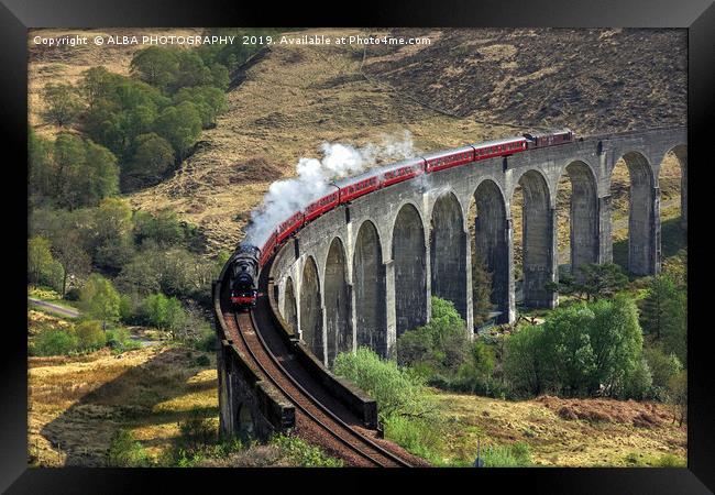 The Jacobite Steam Train, Glenfinnan Viaduct. Framed Print by ALBA PHOTOGRAPHY