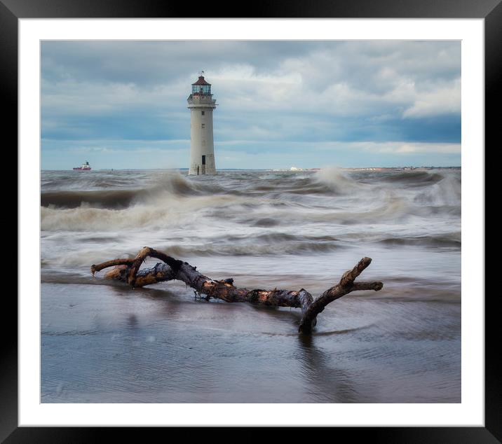 Perch Rock  dritwood Framed Mounted Print by Ray Tickle