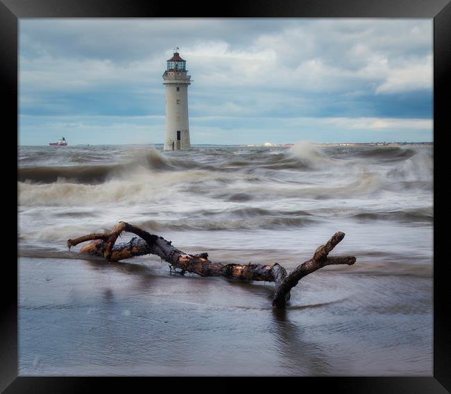 Perch Rock  dritwood Framed Print by Ray Tickle