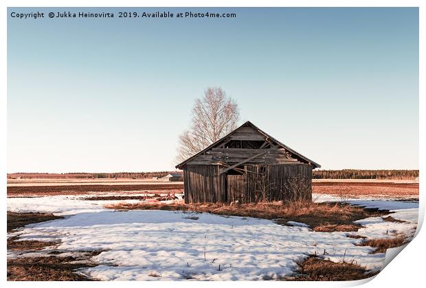 Barn House In The Springtime Sun Print by Jukka Heinovirta