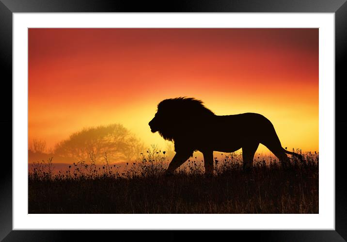 African landscape at sunset Framed Mounted Print by Guido Parmiggiani