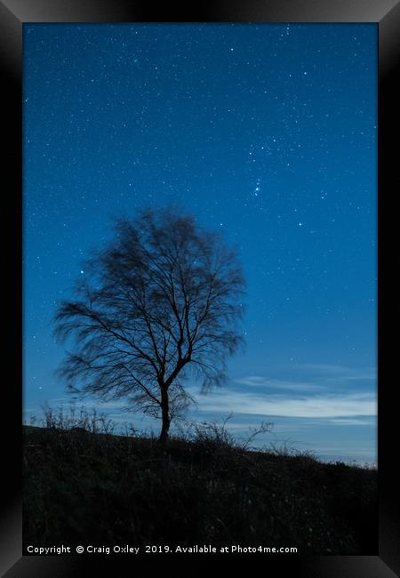 Lone Tree Under A Starry Sky Framed Print by Craig Oxley